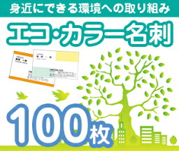 【エコ名刺印刷】【100枚】【カラー】【ゆうパケット無料】