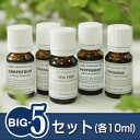 『BIG-5セット』※人気5銘柄のスペシャルセットです!!(真正ラベンダー・オレンジスゥイート・ティートリー・グレープフルーツ・ペパーミント/各10ml)(日本アロマ環境協会/表示基準適合認定精油/インセント)(エッセンシャルオイル 精油 アロマオイル)