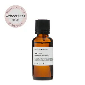お得サイズ エッセンシャルオイル【2】(30ml) 精油 アロマオイル アロマ ディフューザー アロマ加湿器 インセント クローブ シダーウッド スペアミント タンジェリン ティートリー ニアウリ マンダリン ユーカリ ライム ラバンジン ローズマリーのサムネイル
