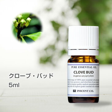 クローブ・バッド 5ml アロマオイル 精油 エッセンシャルオイル クローブ AEAJ （公社）日本アロマ環境協会表示基準適合認定精油 アロマ ディフューザー 加湿器 インセント 通販 【IST】