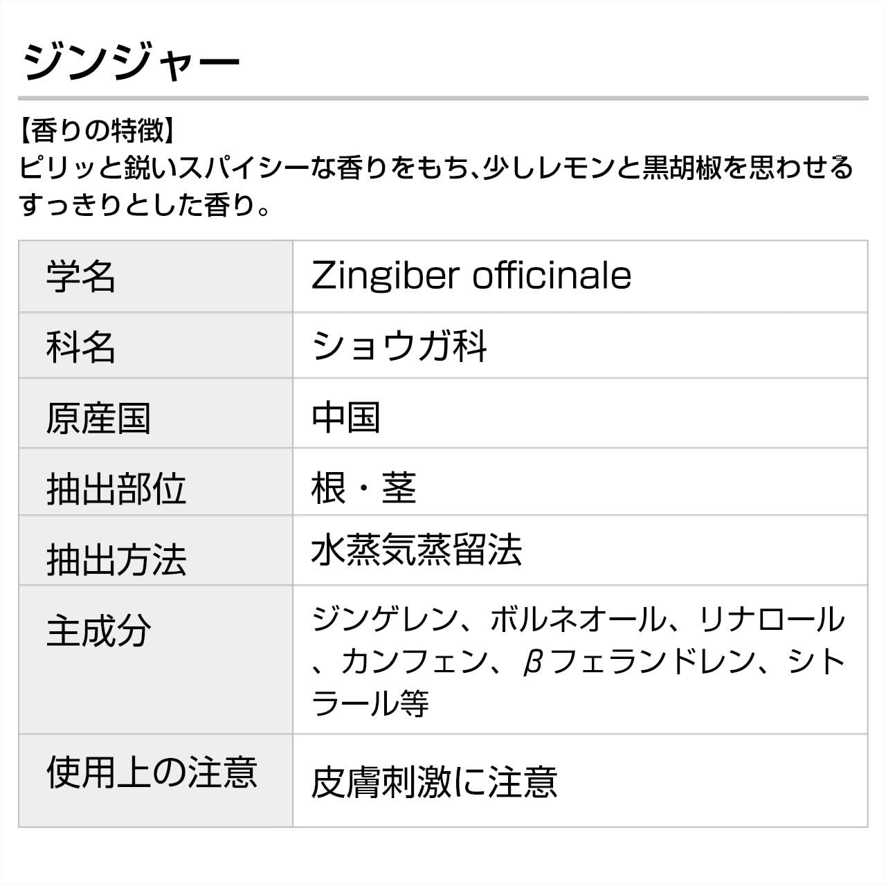 ジンジャー 100ml エッセンシャルオイル 精油 アロマオイル アロマ 大容量 業務用 インセント AEAJ 認定精油 日本アロマ環境協会 アロマディフューザー アロマ加湿器【IST】 2