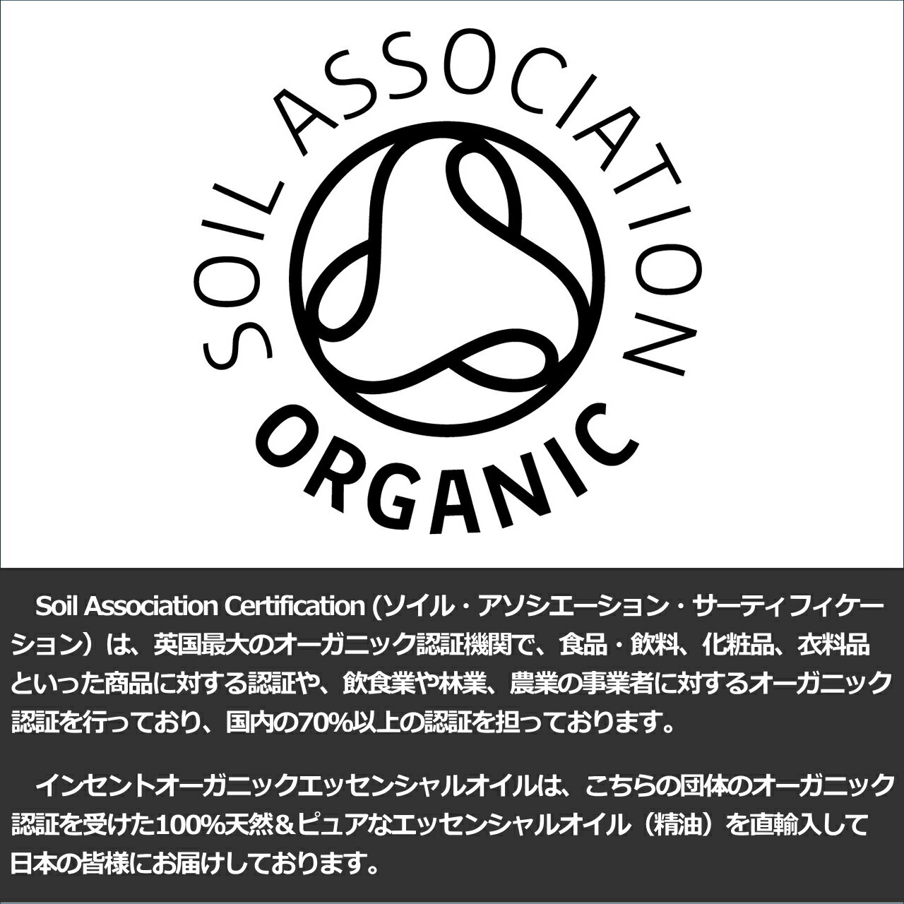 [オーガニック] ローズマリーctカンファー 10ml エッセンシャルオイル 精油 アロマオイル アロマ CT (ケモタイプ) 有機 無農薬 農薬不使用 インセント AEAJ 認定精油 日本アロマ環境協会 アロマディフューザー アロマ加湿器【IST】 2