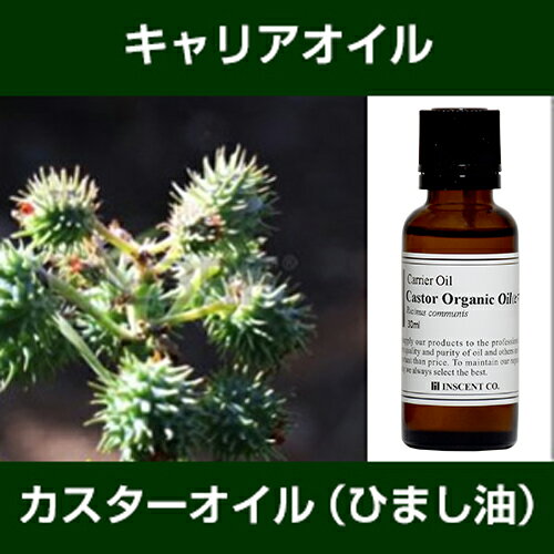 カスターオイル（ヒマシ油）（オーガニック/有機）［未精製］ 30ml〜キャリアオイル（植物油/ベースオイル）〜（キャスターオイル/ひまし油） 【IST】