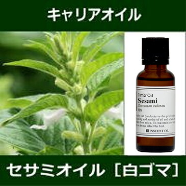 セサミオイル（白ゴマ）［未精製］ 30ml〜キャリアオイル（植物油/ベースオイル）〜 【IST】