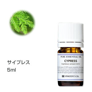サイプレス5ml〜エッセンシャルオイル/精油/アロマオイル〜(日本アロマ環境協会/表示基準適合認定精油/インセント)