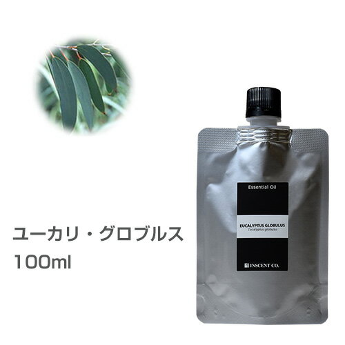 【詰替用/アルミパック】ユーカリ グロブルス 100ml エッセンシャルオイル 精油 アロマオイル アロマ 大容量 業務用 インセント AEAJ 認定精油 日本アロマ環境協会 アロマディフューザー アロマ加湿器【IST】