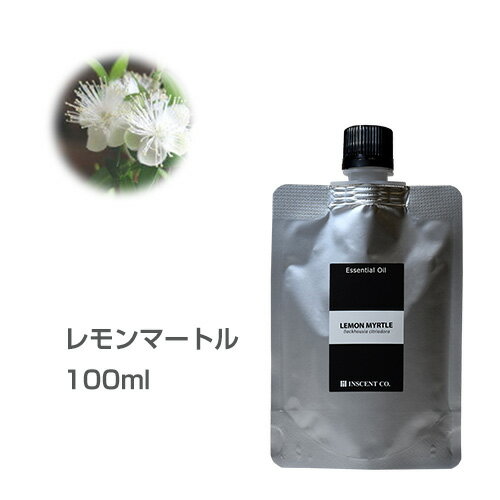 ڵ/ߥѥåۥޡȥ 100ml å󥷥륪  ޥ   ̳ 󥻥 AEAJ ǧ ܥ޴Ķ ޥǥե塼 ޲üIST