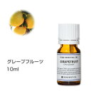 グレープフルーツ 10ml エッセンシャルオイル 精油 アロマオイル アロマ インセント【IST】