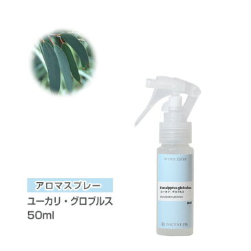 アロマスプレー （ アロマシャワー ） ユーカリ・グロブルス 50ml （ PET / トリガースプレー ） ユーカリ インセント 通販 【IST】