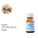 アロマオイルのギフト [オーガニック] フランキンセンス （オリバナム/乳香） 10ml エッセンシャルオイル 精油 アロマオイル アロマ 有機 無農薬 農薬不使用 インセント AEAJ 認定精油 日本アロマ環境協会 アロマディフューザー アロマ加湿器【IST】