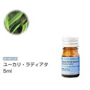 [オーガニック] ユーカリ・ラディアタ 5ml エッセンシャルオイル 精油 アロマオイル アロマ 有機 無農薬 農薬不使用 インセント AEAJ 認定精油 日本アロマ環境協会 アロマディフューザー アロマ加湿器【IST】