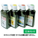 お買得! カラーフレンド 180ml 12本セット 墨運堂 墨液 墨汁 書道用品 習字 子供用墨汁 練習用墨液 練習用墨汁