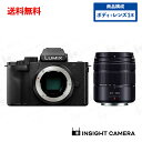 パナソニック LUMIX DC-G100D ボディ ブラック + 望遠レンズセット LUMIX G VARIO 45-150mm/F4.0-5.6 ブラック ル...