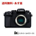 パナソニック LUMIX G99D ボディ ブラック DC-