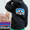 PATAGONIA パタゴニア Fitz Roy Horizons Uprisal Hoody 裏起毛 スウェット パーカー 39619