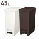 ゴミ箱 ダストボックス エバンペダルペール 45L 6325ダストボックス ゴミ箱 ごみ箱 ペダル式 ペダル キッチン 台所 おしゃれ 45L ホワイト ブラウン