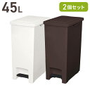 ゴミ箱 2個セット ダストボックス エバンペダルペール 45L 6325ダストボックス ゴミ箱 ごみ箱 ペダル式 ペダル キッチン 台所 おしゃれ 45L ホワイト ブラウン セット リビング シンプル