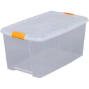 プラスチック製 衣装ケース 2個セット TB-64D アイリスオーヤマ高い所収納ボックス 奥行66cm 衣裳ケース 送料無料 フタ付き 収納ボックス 収納ケース...