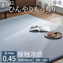 ラグ マット 185×185 ラ・クッションラグ 接触冷感 ACR2C-1818 グレー ブルー ラグ マット 185×185 2畳用 接触冷感 極厚 撥水 はっ水 防音 すべり止め ひんやり 子供 ペット 夏用 Simple Style アイリスオーヤマ 父の日