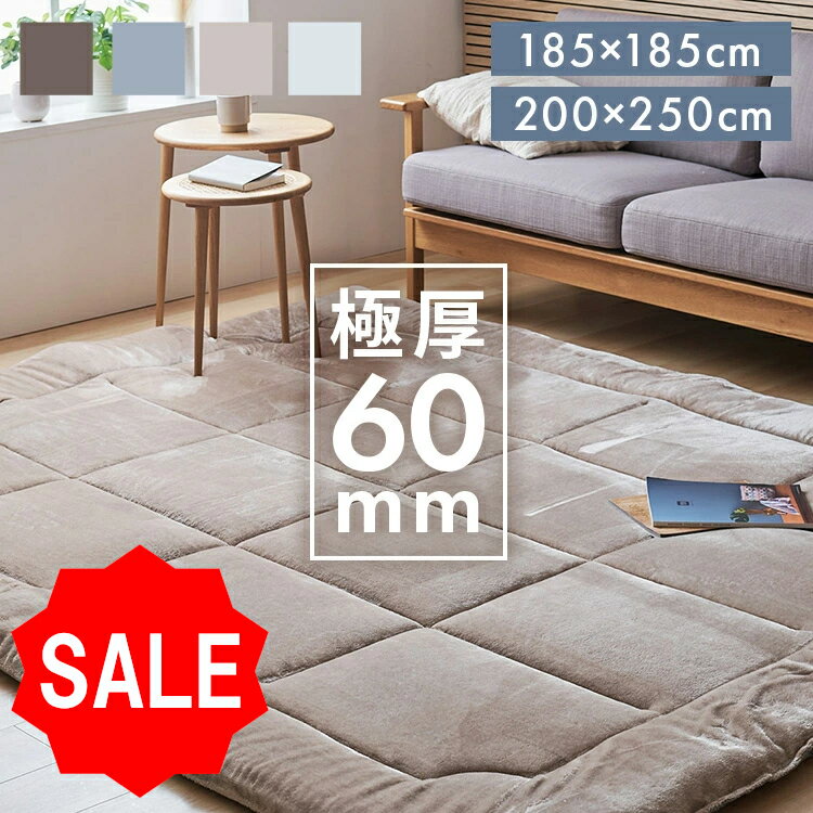 【SALE★10%OFF】極厚ラグ ラグ 超極厚 厚手 2畳 185×185 3畳 200×250 60mm ラグマット 滑り止め リビングラグ 防音 騒音対策 北欧 おしゃれ かわいい 冬用 冬用ラグ 高反発 極厚 ペット あたたかい もっちり もちもち 赤ちゃん カーペット 絨毯 フランネル ラグカーペットのサムネイル