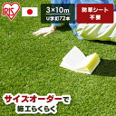 【ポイント5倍★1日限定】人工芝 3×10m 芝丈30mm アイリスオーヤマ送料無料 リアル 防草 人工芝 国産人工芝 防草 メンテナンスフリー 防カビ 芝丈3...