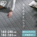 \選べる2サイズ/ ラグ カーペット ラグマット 2畳 185×185 3畳 185×240 洗える パイル 軽量 コンパクト ホットカーペット 1年中 北欧 韓国 おしゃれ 一人暮らし 新生活 ORG-T1818 ORG-T1824 アイリスオーヤマ *