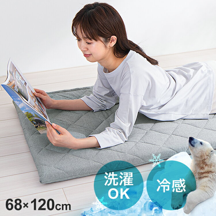 【早割★最大15%OFFクーポン】座布団 クッション 冷感ごろ寝布団 68×120cm GFC-6812座布団 リビング ふとん お昼寝 フロアクッション 接触冷感 クッション 座布団 抗菌防臭 ペットベッド カバー洗濯OK グレー ブルー ひんやり クール 夏 熱中症対策 予防 冷たい【D】