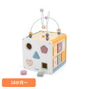 おもちゃ 知育 指あそび 8イン1 アクティビティボックス TYPR44098知育玩具 木製 観覧車 ビーズコースター 型はめ遊び パステルカラー プレゼント ギフト 誕生日 クリスマス キッズ PolarB DADWAY