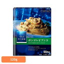 パスタソース 青の洞窟 ボンゴレビアンコ 青の洞窟 あさりの旨み広がるボンゴレビアンコ 青の洞窟 日清製粉ウェルナ 簡単 パスタ パスタソース レトルト 常温 インスタント ストック ボンゴレビアンコ 日清製粉ウェルナ