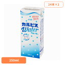 ドリンク 乳酸菌 紙パック飲料 カルピス カルピスウォーター(R)LL 紙パックスリム 250ml×48本 29128 【代引不可】ソフトドリンク 24本×2 まとめ買い CALPIS 乳酸菌 純水 酵母 発酵 自然製法 お出かけ 旅行 常温保存 紙包装 エルビー