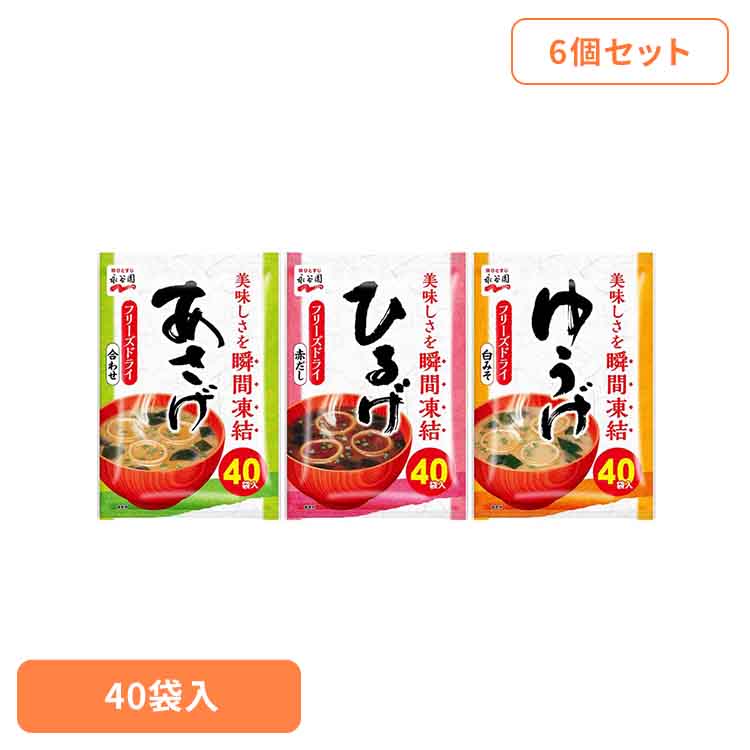 【6個】粉末徳用 40食入 永谷園 あさげ 粉末みそ汁 フリーズドライ 合わせみそ 徳用タイプ 大袋入り お弁当 手軽 朝食 あさげ ひるげ ゆうげ
