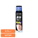 ギャツビー ターンカラー スプレー ナチュラルブラック mandom マンダム GATSBY ギャツビー ブリーチ セルフカラー 黒髪戻し スプレー シャンプー ブラック マンダム