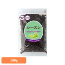 共立食品 レーズン徳用 580gレーズン ドライフルーツ お菓子作り パン サラダ ヨーグルト シリアル トッピング カルフォルニア 製菓 共立食品
