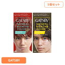 【5個】ギャツビー ナチュラルブリーチカラー mandom マンダム GATSBY ギャツビー ヘアカラー ブリーチ 脱色 セルフカラー アクアフルーティ ブラウン マンダム クールロゼ シェイドウルフ