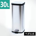 【超★激アツ価格】ゴミ箱 ごみばこ 30L STPL-30送料無料 ステンレスペール ゴミ箱 ごみ箱 ステンレス製 蓋付 べダル付 スタイリッシュ シンプル おしゃれ キッチン 分別 ウイルス対策 ウイルス予防 ダストボックス 予防 衛生 清潔