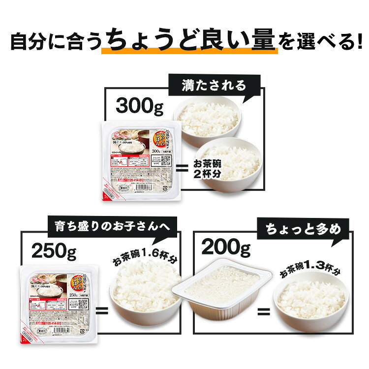 【72食】選べる家族セット 120g 150g 180g 200g 250g 300g お試し ご飯パック パックご飯 アイリスオーヤマ 低温製法米のおいしいごはん 送料無料 パック米 パックごはん レトルト レンチン ご飯 非常食 保存食 備蓄 簡単 お米 ご飯 inskagu-10032852 快適インテリア サンプル画像3