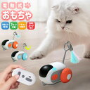 猫用おもちゃ 電動玩具 USB充電式 猫 ネコ 動く 手動 可愛い ペット用品 遊び 替用 子猫 運動不足解消 ストレス発散 羽 ふわふわ 車 床置き ひとり遊び 羽毛 自動走行 猫の健康管理 リモコンで操作 シンプル 獲物 羽のおもちゃ 安全素材 猫じゃらし 障害物回避
