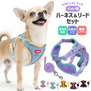 ペット用ハーネス&リードセット 犬用 猫 リード 散歩用 通気性 メッシュタイプ H型ハーネス 小型犬 中型犬 ワンコ 超軽量 洗える S M L XL 着脱簡単 カワイイ Dカン付き 反射材付き 夜間散歩 安全 アウトドア サイズ調整可能 アジャスター付き 蒸れにくい 動きやすい