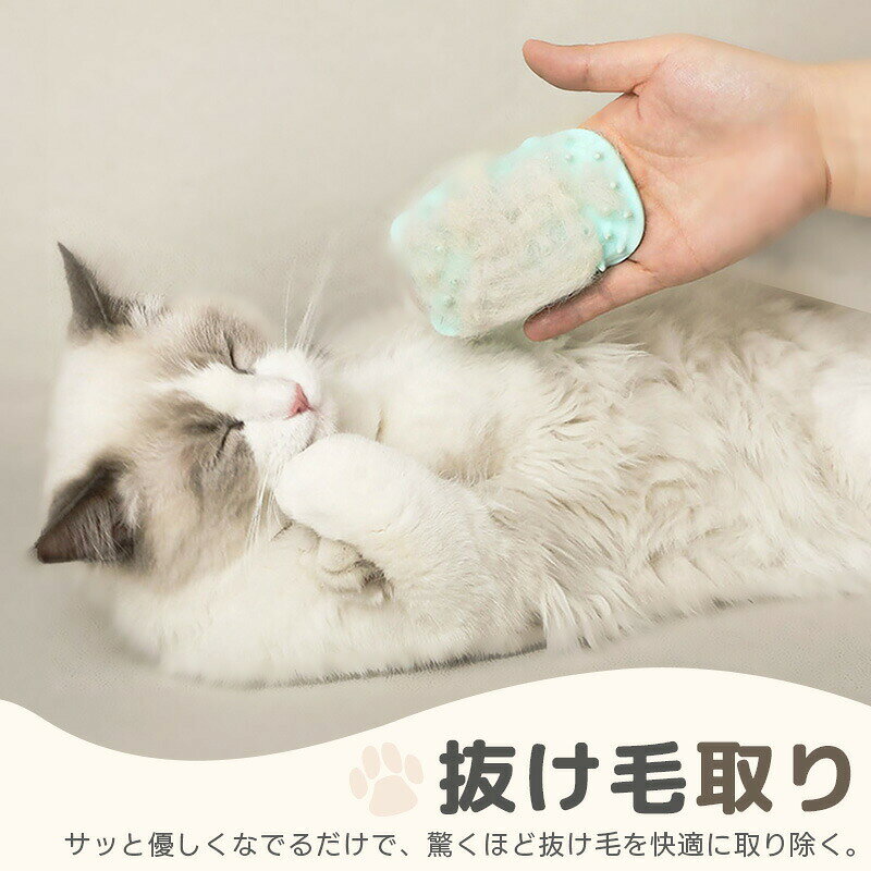 �ڤ߻ߤ�֥饷2�ĥ��å� ǭ�ѥޥå������֥饷 ǭ�ѥ֥饷 �ڥå��ѥ֥饷 ����ե��롼�ߥ󥰥֥饷 ȴ���Ӽ�� ���մ�ñ ���餫�� ���ꥳ�� ¿��ǽ ǭ��������֥饷 ǭ�����ʡ��ޥå����� ǭ�ѥ��롼�ߥ󥰥֥饷 û�� ���� Ĺ�� ���� ǭ�֥饷 �İ��� 5color