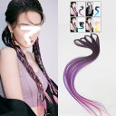 【ブラックフライデー最大2000円OFF】エクステンション つけ毛 カラー ブレイズエクステ 女性 ウィッグ ヘアアクセサリー 三つ編みウィッグ 三つ編み 2点...