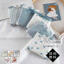 【ブラックフライデー最大2000円OFF】ショーツ パンツ 5枚組 レディース フルーツ柄 動物柄 ジュニア 女の子 下着 肌着 インナー ショーツセット プレ...