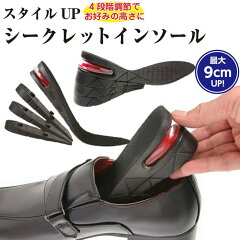 https://thumbnail.image.rakuten.co.jp/@0_mall/insole-phoenix/cabinet/06466281/1-10000114.jpg