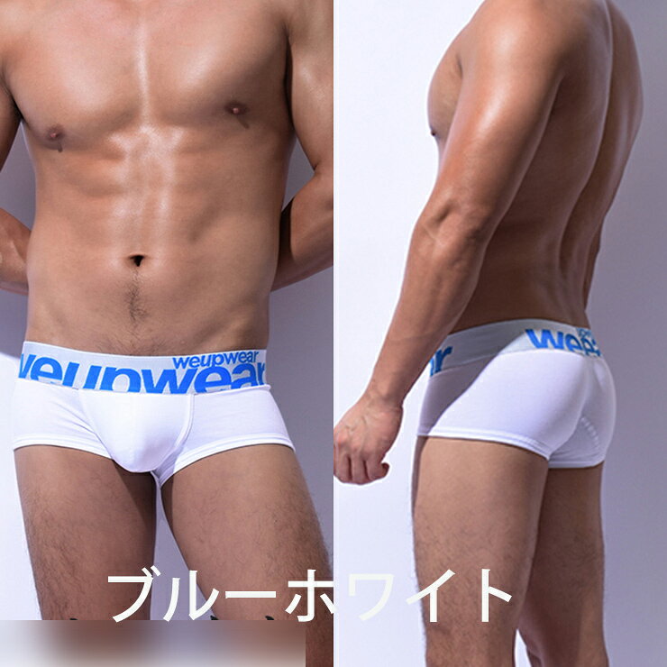【新商品】WE-UP/ウィーアップ weup ...の紹介画像3