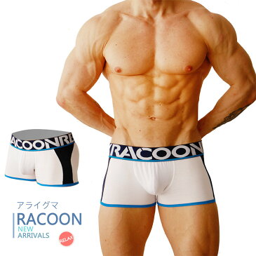 正規品RACCON/アライグマ スポーツ 男性パンツ タイトフィット インナー アンダーウェア ドットメッシュ ボクサー 下着 06