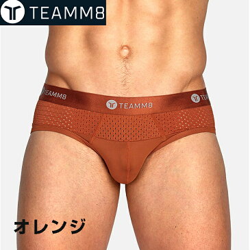 TEAMM8 Crown Brief ドットメッシュ ファッション モノトーン ソフト生地 フルバックブリーフ セクシー ブリーフ