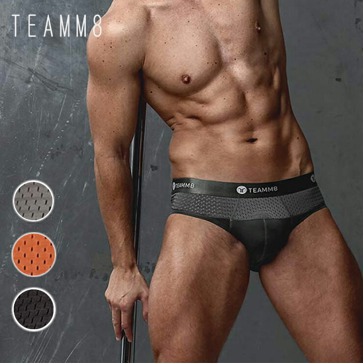 TEAMM8 Crown Brief ドットメッシュ ファッション モノトーン ソフト生地 フルバックブリーフ セクシー ブリーフ