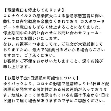 【最短当日発送】マスク 在庫あり 大人用 20枚 青色 箱 3層不織布 プリーツマスク 使い捨て フィルター ノーズワイヤー 花粉症 飛沫 ウイルス 即納 送料無料