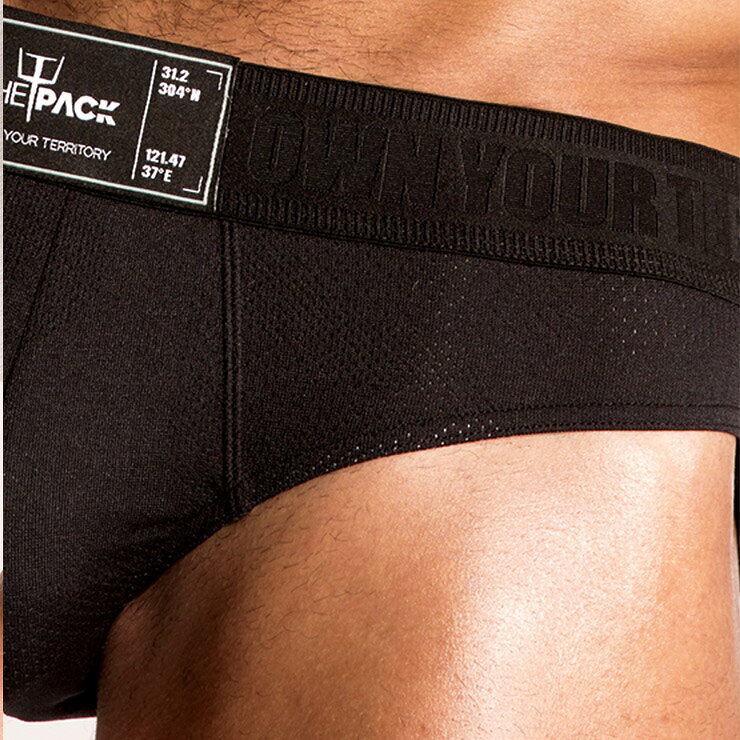 THE PACK/Brief Engineered Mesh ファッション系 メンズインナー ブリーフ 高品質 ...
