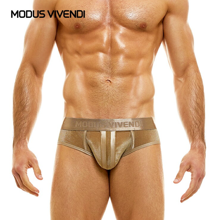 MODUS VIVENDI/V.Fluid Brief 贅沢 ファッション 男性インナー 高級素材 ローライズ スポーツ 快適 セクシー メンズ ブリーフ