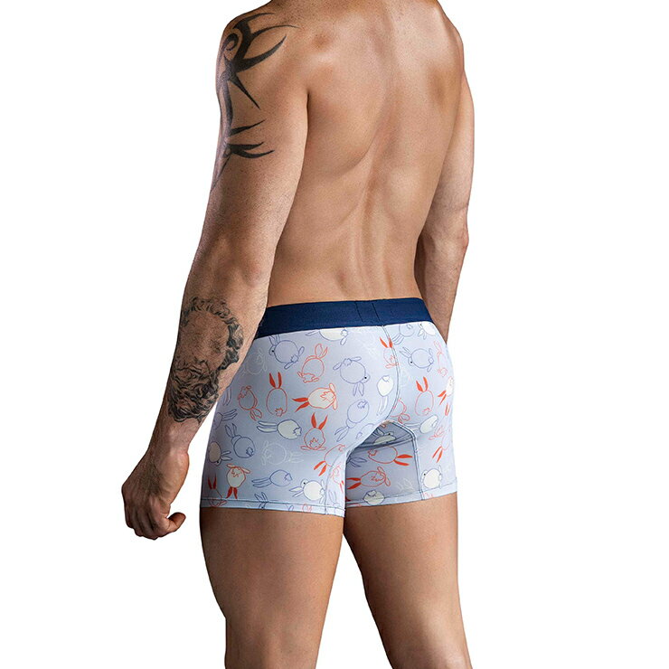 CLEVER CONEY TRUNKS スポー...の紹介画像2